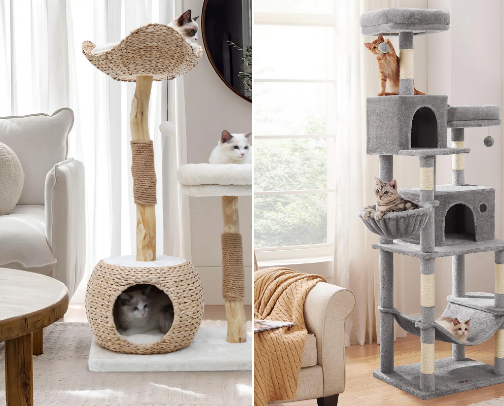 products for cats🐈🧡 cover photo collage