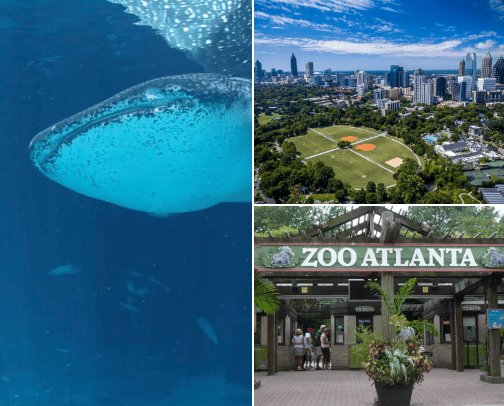 Things to Do In Atlanta cover photo collage