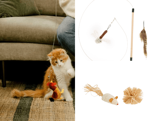 Cat Toys cover photo collage