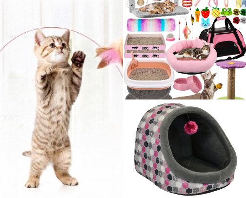 Kitty Korner: My Must-Have Cat Purrfect Collection!😻 cover photo collage