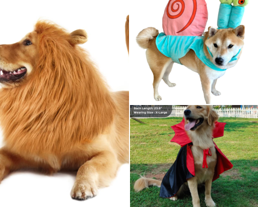 the BEST dog Halloween costumes from Amazon! 🐶🎃 cover photo collage