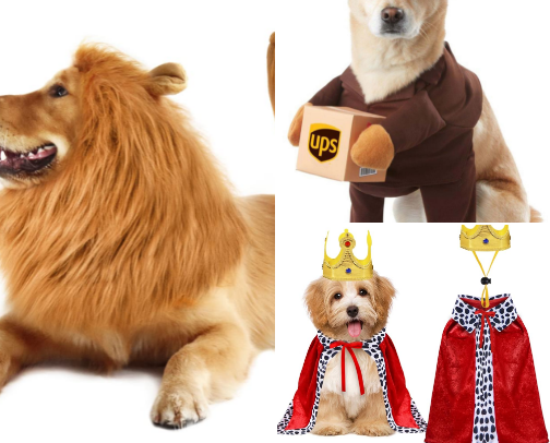 dog Halloween costumes! 🐶🎃 cover photo collage