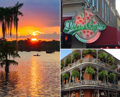 Louisiana - The Swamp State cover photo collage