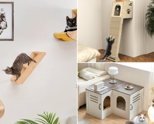 The Coolest Stuff for the Coolest Cats cover photo collage