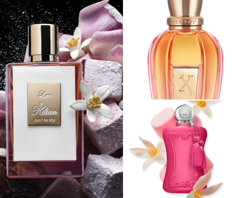 Niche Fragrances You’ll Love 🔥🥰 cover photo collage