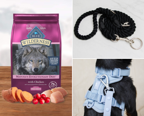 Dog Products I Actually Use & Love cover photo collage