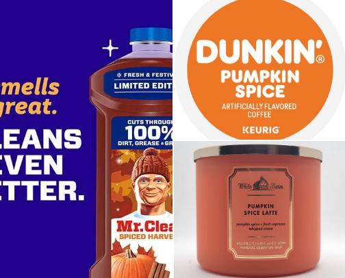 Fall favorites cover photo collage