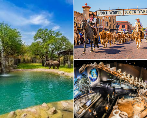 DFW Spots to Visit With Your Kids cover photo collage
