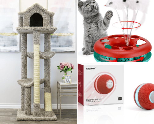 Cat & Dog Essentials cover photo collage