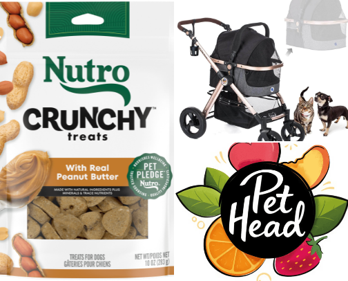 DOGGIE RECOMMENDATIONS cover photo collage