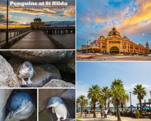 Melbourne Hidden Gems: My Favourites For Tourists cover photo collage