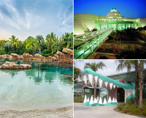 Unique Things to Do in Orlando and Kissimmee, Florida cover photo collage