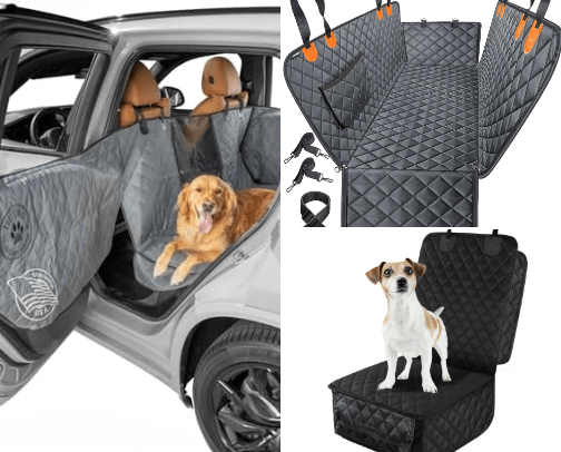 Car care needs if you have pets cover photo collage