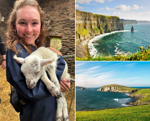 MY TRIP TO IRELAND! 🇮🇪🇮🇪All the bookings I bought for the week! cover photo collage
