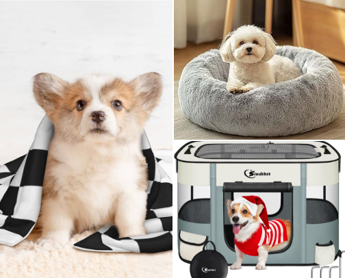 Dog Comfort & Care Products I Actually Use cover photo collage