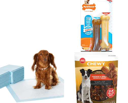 Fur Babies cover photo collage