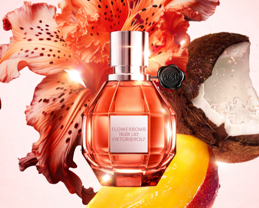 YSL Libre and similar perfumes cover photo collage