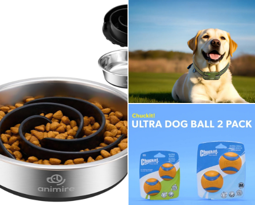 Puppy Love cover photo collage