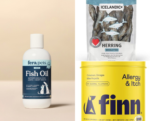 Enhance your dog's life with these must have products cover photo collage