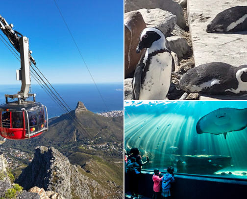 Places to see and things to do when visiting Cape Town. cover photo collage