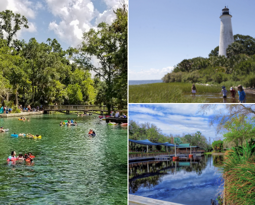 Best Hiking Trails & Nature Preserves Near Orlando & Kissimmee: A Local's Guide cover photo collage