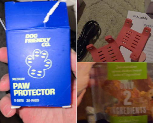 Pet care cover photo collage