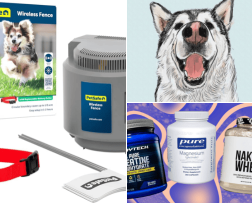 Fur babies cover photo collage