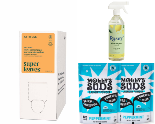 products to help you care for your family *on a budget* cover photo collage