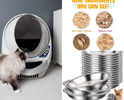 Cat Must-Haves for Cat Parents 🐾 cover photo collage