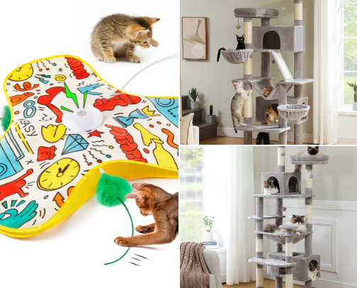 Pet Favorites cover photo collage