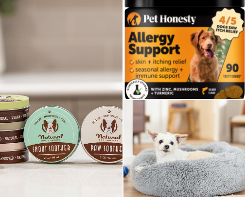 DOG must haves. cover photo collage