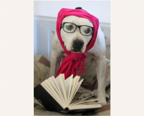 GIFTS FOR BOOK LOVERS🧡 cover photo collage