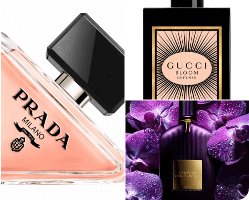 Best Perfumes! cover photo collage