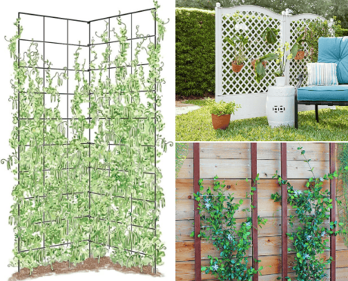 In the Garden cover photo collage