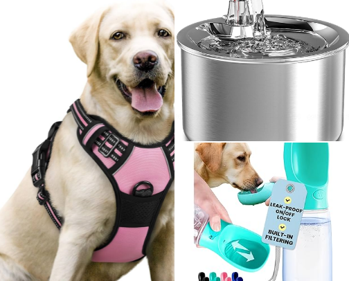 Pet Essential cover photo collage