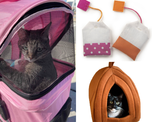 🐈‍⬛ cat must-haves cover photo collage
