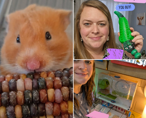 All About Animals cover photo collage