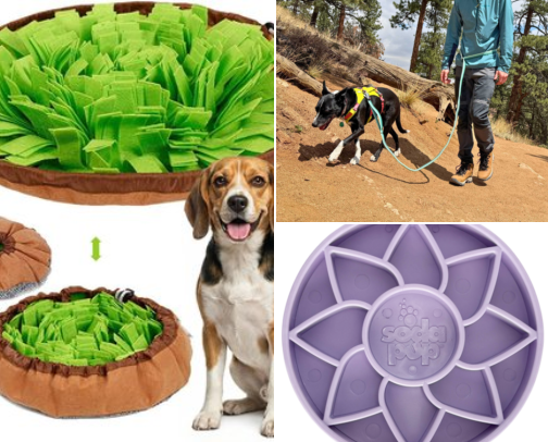 Pet Enrichment & Walk Essentials cover photo collage