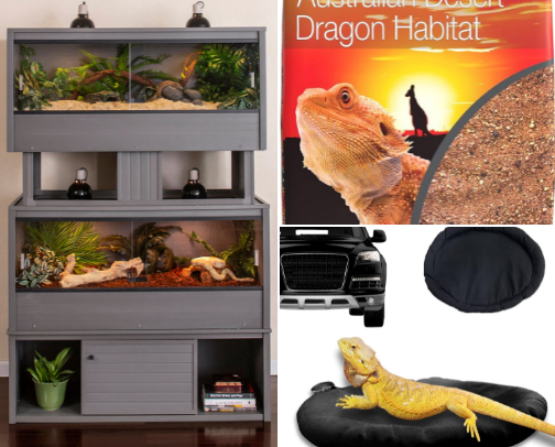 Reptile Supplies that are non negotiable cover photo collage