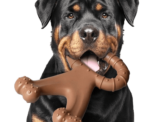Pets - Shop now! 🐾✨ cover photo collage
