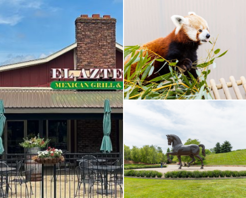 My top Grand Rapids recs cover photo collage