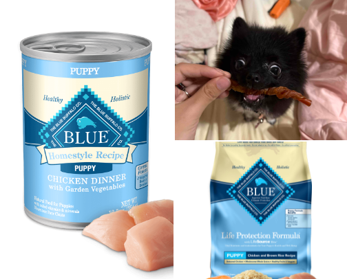 Pomeranian Puppy Necessities cover photo collage