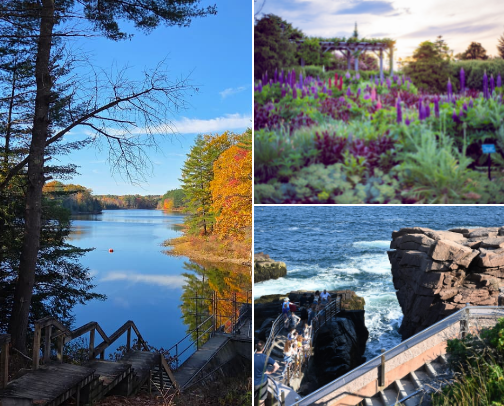 Things to Do in Maine cover photo collage