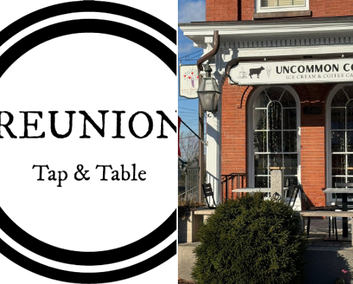 My top Central MA recs cover photo collage