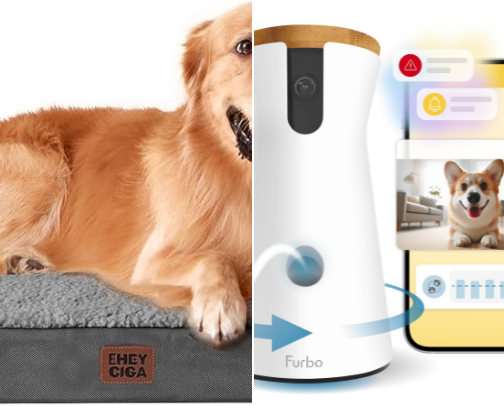 Dog favorites 🦴 cover photo collage