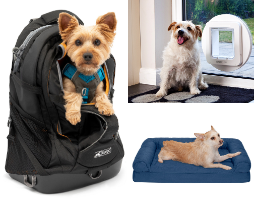 Pet Care Guide: Picks for Your Beloved Companions cover photo collage