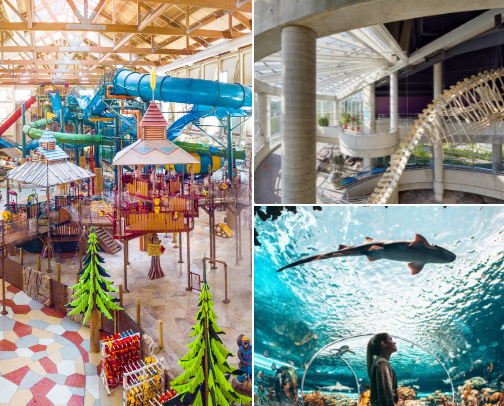 Best Family Vacation Spots close to home cover photo collage