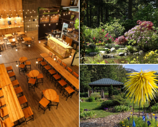 Solo Adventures in Juneau cover photo collage