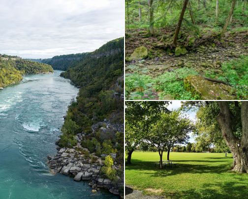 Niagara Region on Foot: Trails Worth the Journey cover photo collage
