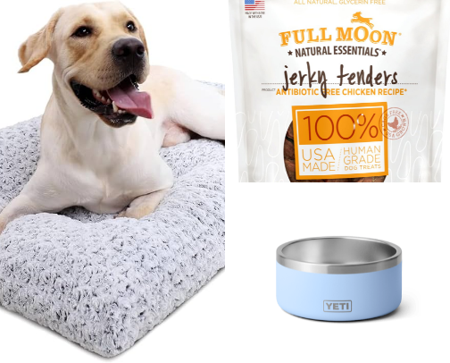 Dog Supplies cover photo collage